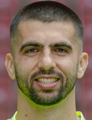 Nediljko Labrovic