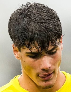 Davide Renzetti